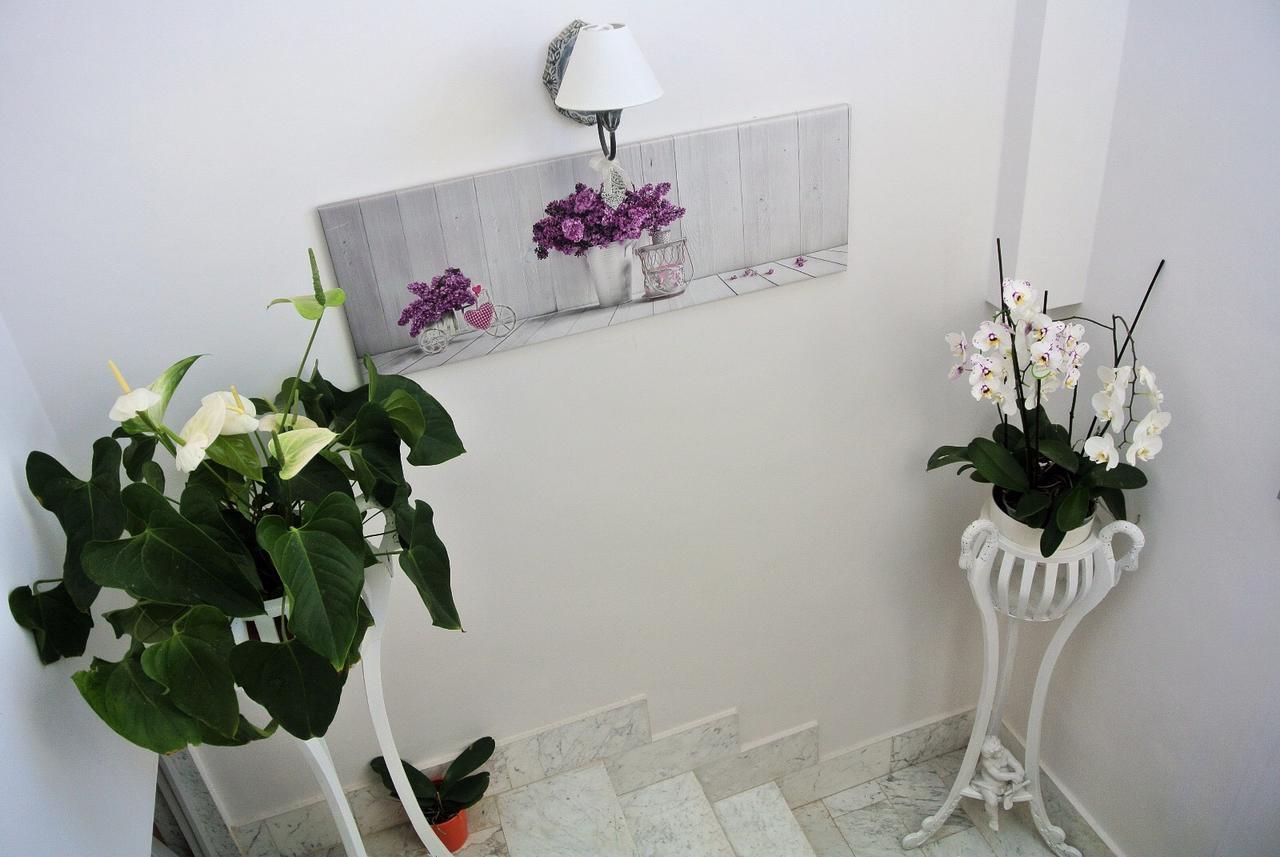 Almasol Bed and Breakfast Cassano delle Murge Εξωτερικό φωτογραφία
