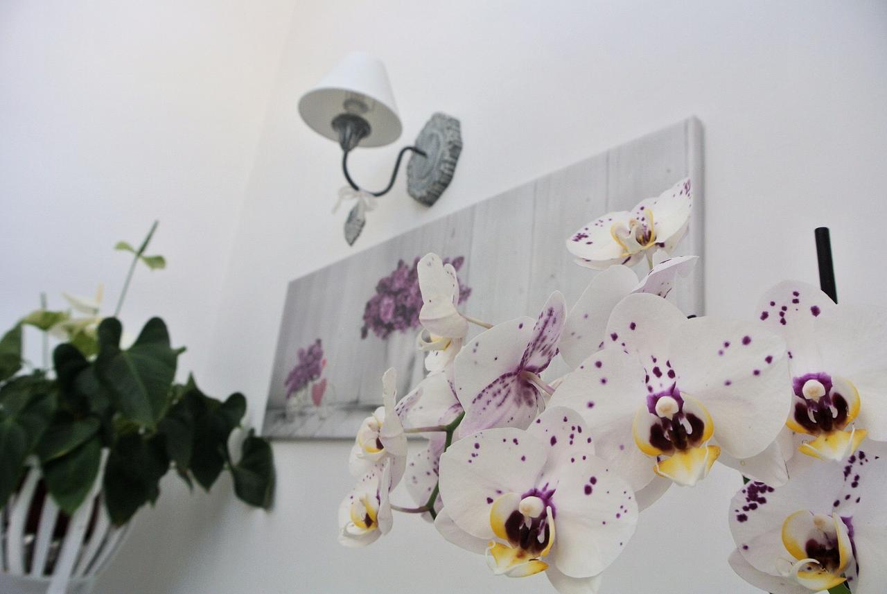 Almasol Bed and Breakfast Cassano delle Murge Εξωτερικό φωτογραφία